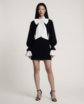 Icon Bow Dress Women Elegant Party Dress with Chic Bow